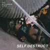 The Messenger Birds - Self Destruct - Single